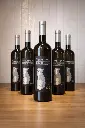 Vermentino DOC (2024)